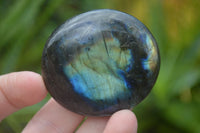 Polished Mixed Labradorite Items  x 14 From Madagascar - Toprock Gemstones and Minerals 