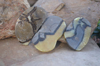 Polished Septaria (Calcite & Aragonite) Slices  x 12 From Madagascar