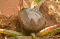 Polished Large Morion Smokey Quartz Eggs x 4 From Madagascar - TopRock