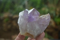 Natural Jacaranda Amethyst Clusters  x 3 From Mumbwa, Zambia - Toprock Gemstones and Minerals 