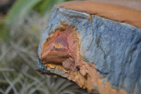 Natural Golden Blue Tigers Eye Specimens  x 2 From Prieska, South Africa - TopRock