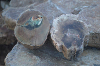 Polished Petrified Wood Branch Pieces  x 3 From Gokwe, Zimbabwe - Toprock Gemstones and Minerals 