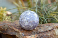 Polished Specular Purple Mica Lepidolite Spheres  x 4 From Madagascar - TopRock