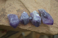 Natural Single Amethyst Crystals  x 35 From Zambia - Toprock Gemstones and Minerals 