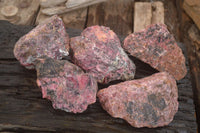 Natural Rough Pink Rhodonite Specimens  x 5 From Zimbabwe