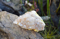 Natural Spirit Quartz Clusters  x 4 From Boekenhouthoek, South Africa - TopRock