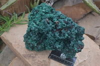 Natural Chatoyant Silky Malachite Specimen  x 1 From Congo - Toprock Gemstones and Minerals 