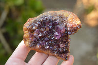 Natural Dark "Amethystos" Amethyst Clusters  x 12 From Kwaggafontein, South Africa - TopRock