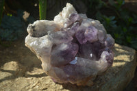 Natural Jacaranda Amethyst Cluster x 1 From Mumbwa, Zambia - TopRock