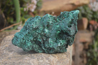 Natural Chatoyant Silky Malachite Specimen x 1 From Kasompe, Congo