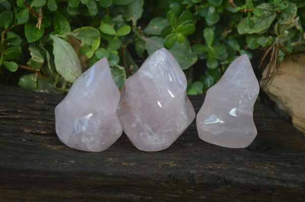 Polished Gemmy Rose Quartz Flames x 3 From Madagascar