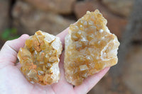 Natural Golden Limonite / Lemonite Quartz Clusters  x 6 From Mwinilunga, Zambia - TopRock