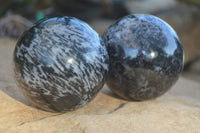 Polished Merlinite Gabbro Spheres  x 4 From Madagascar - Toprock Gemstones and Minerals 