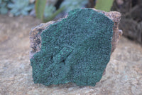 Natural Crystalline Micro Botryoidal Malachite Specimens  x 2 From Congo - Toprock Gemstones and Minerals 