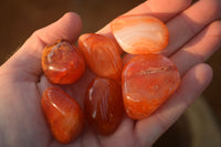 Polished  Carnelian Agate Tumble Stones  x 1 Kg Lot From Madagascar