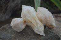 Natural Highly Selected Pineapple Candle Quartz Crystals  x 12 From Madagascar - Toprock Gemstones and Minerals 