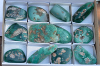 Polished Green Mtorolite Free Forms  x 12 From Zimbabwe - TopRock