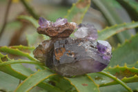 Polished Artificially Made Amethyst Crystal Clusters  x 6 From Chiredzi, Zambia - TopRock