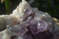 Natural Jacaranda Amethyst Cluster x 1 From Mumbwa, Zambia - TopRock