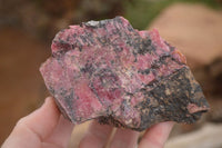 Natural Rough Pink Rhodonite Specimens  x 5 From Zimbabwe