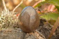 Polished Large Morion Smokey Quartz Eggs x 4 From Madagascar - TopRock