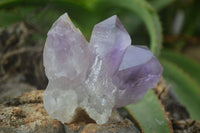 Natural Jacaranda Amethyst Clusters  x 3 From Mumbwa, Zambia - Toprock Gemstones and Minerals 