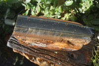 Natural Sliced Tigers Eye Specimen x 1 From Prieska, South Africa - Toprock Gemstones and Minerals 