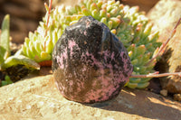 Polished One Side Polished Rhodonite Free Forms  x 6 From Ambindavato, Madagascar - TopRock