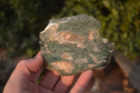 Polished On One Side Emerald Mtorolite Plates x 12 From Mutorashanga, Zimbabwe