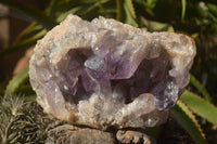 Natural Jacaranda Amethyst Vug Cluster  x 1 From Zambia - TopRock