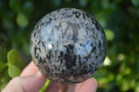 Polished Merlinite Gabbro Spheres  x 4 From Madagascar - Toprock Gemstones and Minerals 