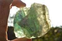 Natural Cobbed & Stone Sealed Watermelon Fluorite Pieces x 12 From Uis, Namibia - TopRock