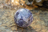 Polished Specular Purple Mica Lepidolite Spheres  x 4 From Madagascar - TopRock