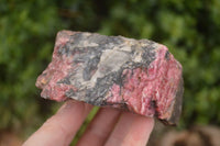 Natural Rough Pink Rhodonite Specimens  x 5 From Zimbabwe