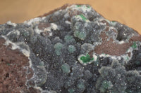 Natural Drusy Coated Ball Malachite On Dolomite Specimen  x 1 From Likasi, Congo