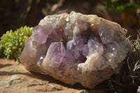 Natural Jacaranda Amethyst Vug Cluster  x 1 From Zambia - TopRock