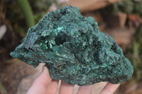 Natural Chatoyant Silky Malachite Specimen x 1 From Kasompe, Congo