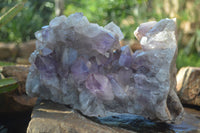 Natural Jacaranda Amethyst Cluster x 1 From Mumbwa, Zambia - TopRock