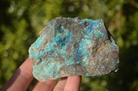 Natural Rough Shattuckite Cobbed Specimens x 12 From Kaokoveld, Namibia