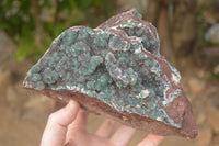 Natural Drusy Coated Ball Malachite On Dolomite Specimen  x 1 From Likasi, Congo