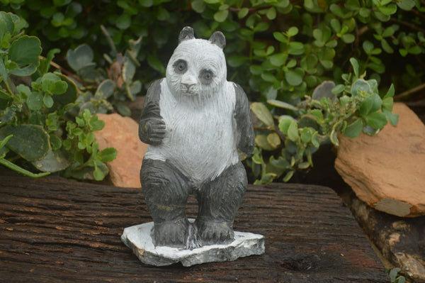 Polished Soapstone Panda Carving x 1 From Zimbabwe - TopRock