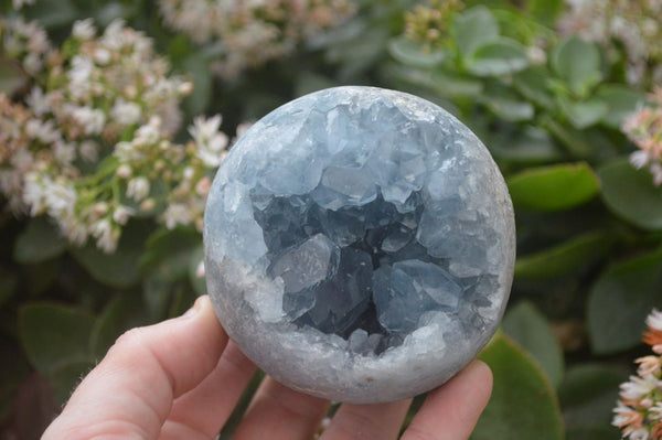 Polished Blue Celestite Egg Geodes  x 3 From Sakoany, Madagascar