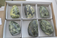 Polished Leopard Stone Standing Free Forms  x 6 From Zimbabwe - Toprock Gemstones and Minerals 