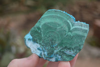 Natural Blue Chrysocolla On Silky Malachite Matrix Specimens  x 6 From Kulukuluku, Congo - Toprock Gemstones and Minerals 