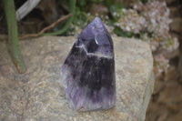 Polished Dream Amethyst Point x 1 From Madagascar