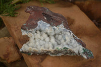 Natural Pure White Drusy Coated Balls With Malachite On Red Copper Dolomite  x 1 From Likasi, Congo