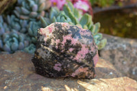 Polished One Side Polished Rhodonite Free Forms  x 6 From Ambindavato, Madagascar - TopRock