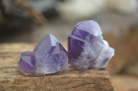 Natural Single Amethyst Crystals  x 35 From Zambia - Toprock Gemstones and Minerals 