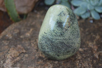 Polished Spotted Leopard Stone Standing Free Forms  x 6 From Zimbabwe - Toprock Gemstones and Minerals 