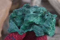 Natural Chatoyant Silky Malachite Specimens  x 2 From Kasompe, Congo